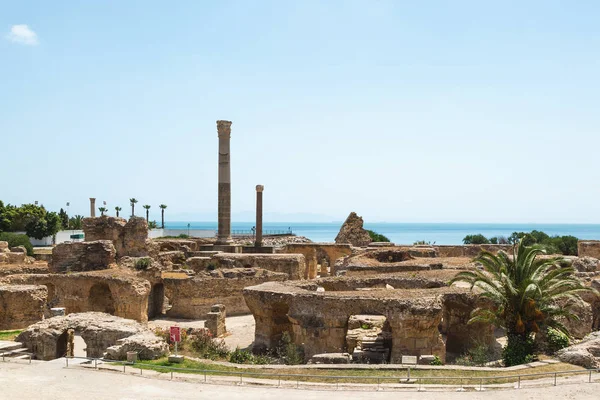 Antoninus Hamamı harabeleri. Kartaca, Tunus.