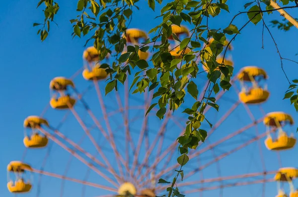 Yalnız onların çevirmek için bekleyen çocuk parkı içinde sallanır