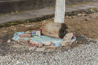 Bahçedeki küçük hayvanlar için küçük rahat yerine