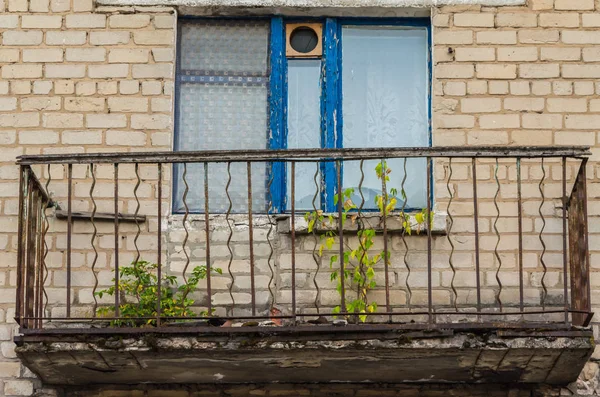 Eski Balkon Pas Germinated Bitkiler Ile Dekore Edilmiştir — Stok fotoğraf