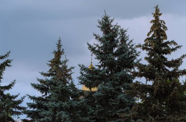 Ağaçların dalları kilisenin kubbesi altın bir haç var.