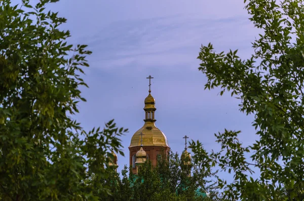 Branches Trees Golden Cross Dome Church — Stock Photo, Image
