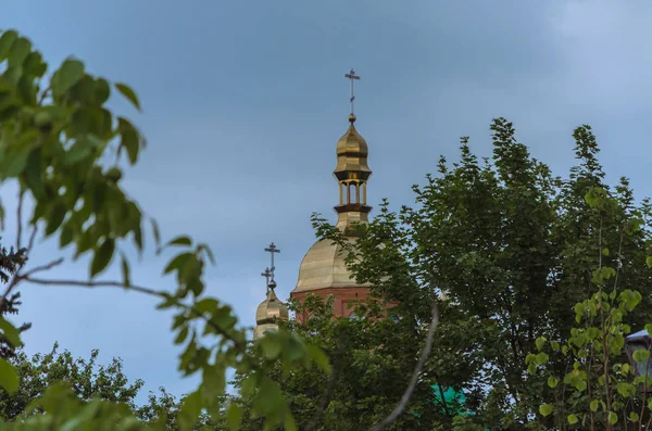 Beyond the branches of the trees there is a golden cross on the dome of the church.