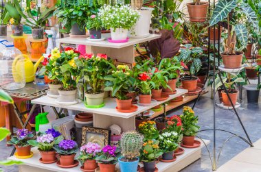 Mağazada farklı ve güzel renklerle kare vitrin