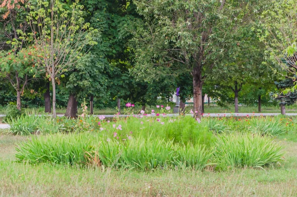 Yalnız onların çevirmek için bekleyen çocuk parkı içinde sallanır