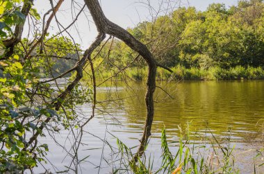 Güzel yaz akşamında Samara Nehri üzerinde
