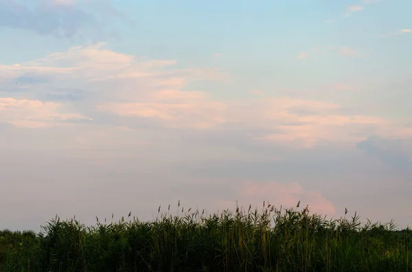 Bulutlar gökyüzü günbatımı güzel sarı akşam.