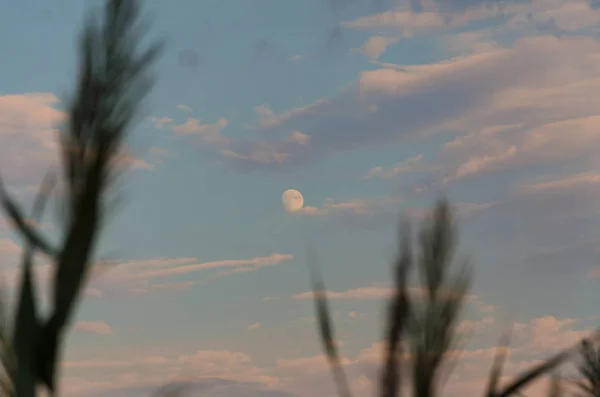 Gökyüzünde ay ile güzel bir akşam günbatımı