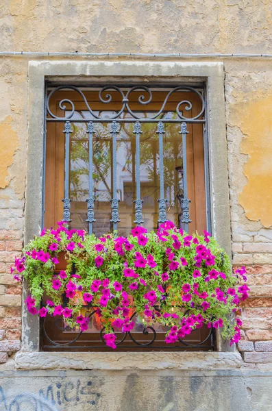 Die Besten Fenster Venedigs Bei Schönem Sonnigen Wetter — Stockfoto