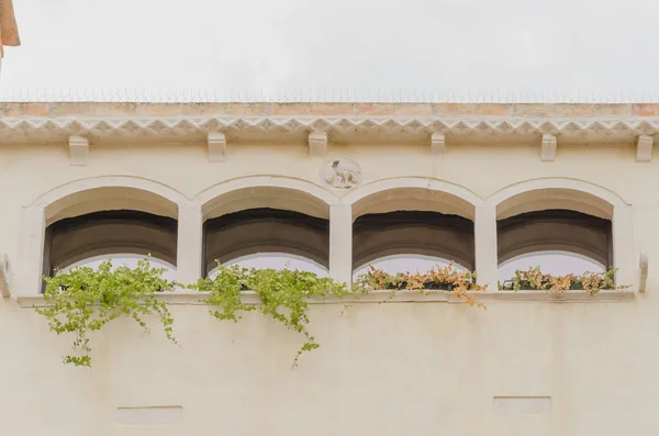 Venedik'in en iyi windows güzel güneşli havalarda