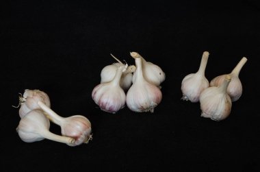 İzole sarımsak. Beyaz ve siyah arka plan üzerinde izole Çiğ sarımsak.