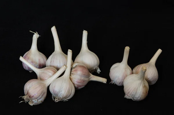 İzole sarımsak. Beyaz ve siyah arka plan üzerinde izole Çiğ sarımsak.