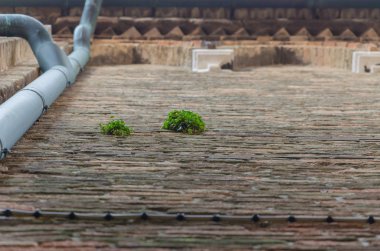 Güzel ve büyüleyici Venedik pitoresk manzaralar çeşitli
