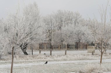 Kış parkta Çocuk Bahçesi. City Park Çocuk Bahçesi. Güneşli kış günü.