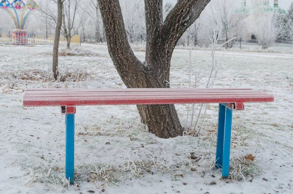 Kış kenti parkındaki banklar. Karla dolu. Karla kaplı ağaçlar.