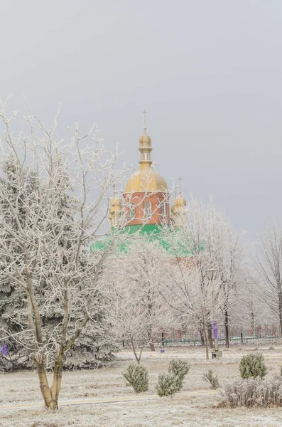 Złote Kopuły Kościoła Gałęzie Drzew Zimą — Zdjęcie stockowe