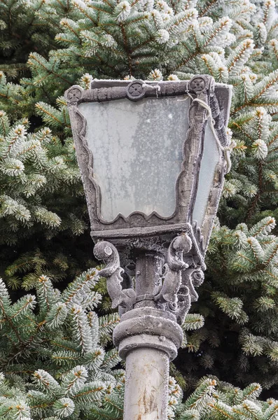 Lonely Street Lamp Winter Background Christmas Tre — Stock Photo, Image