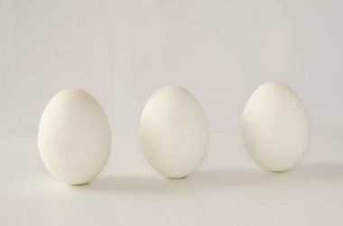 Beyaz bir arka plan üzerinde büyük beyaz yumurta.