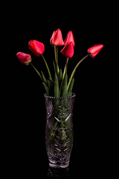 Bouquet de tulipes rouges sur fond noir. — Photo