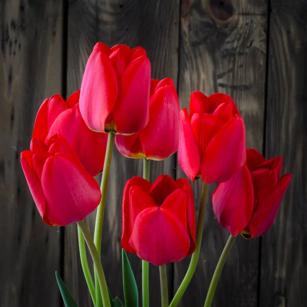 Bouquet printanier de tulipes rouges sur fond bois . — Photo