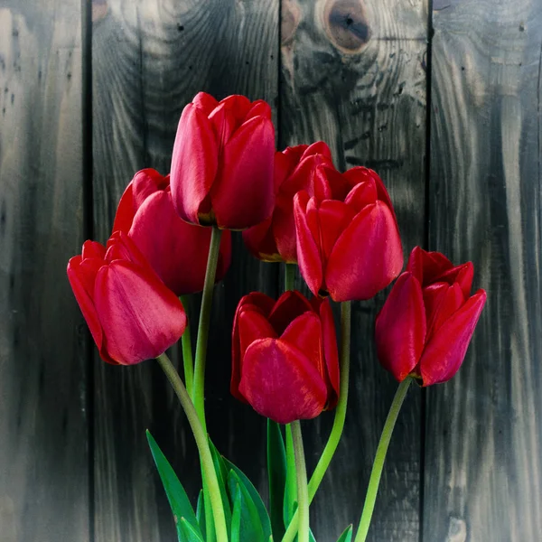 Bouquet printanier de tulipes rouges sur fond bois . — Photo