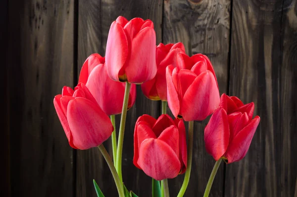 Bouquet printanier de tulipes rouges sur fond bois . — Photo