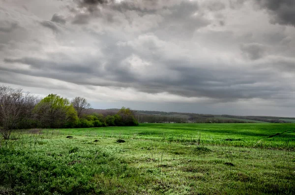 Green Grass Field Landscape Nice Background Stock Picture