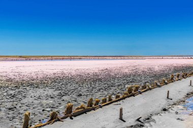 Farklı kompozisyonlara sahip çeşitli manzaralar.