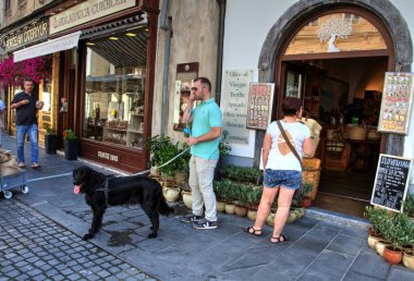 LJUBLJANA / SLOVENIA - 07.08.2019, Ljubljana 'da sokak durumu. Slovenya 'ya Seyahat.