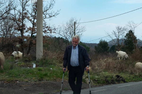Sicilya, İtalya - 15 Şubat 2016: Bedensel engelli sheperd mt.Etna yolunda benekli koyunlarını yetiştirme.