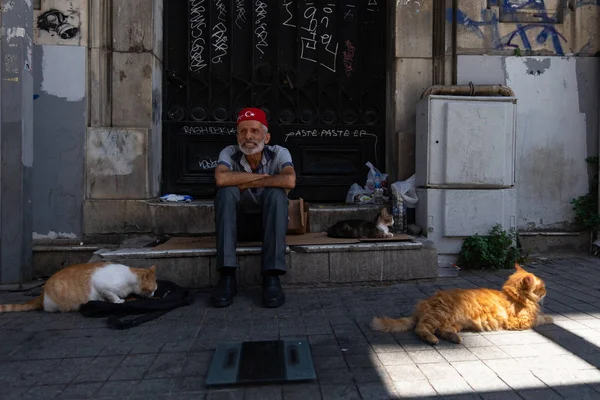 İstanbul, Türkiye - 08 Haziran 2016: Sokakta bazı kedilerle oturan geleneksel şapkalı yaşlı Türk adam.