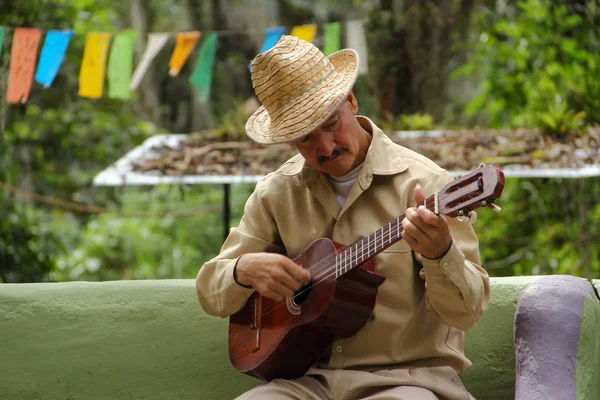 Mérida Venezuela Abril 2017 Hombre Local Con Sombrero Tradicional Tocando — Foto de Stock