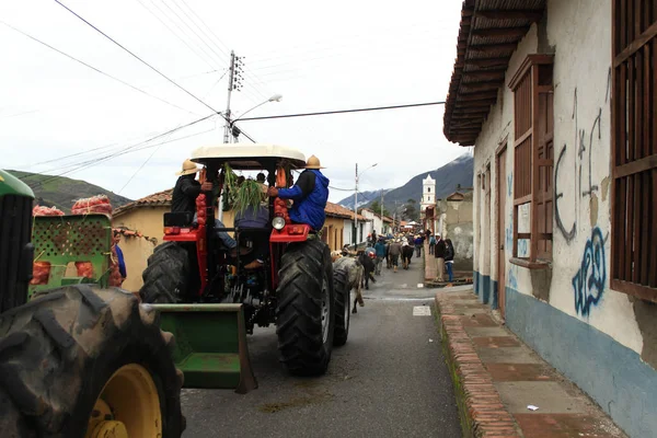 Mérida Venezuela Mayo 2017 Los Lugareños Conducen Tractores Bueyes Una — Foto de Stock