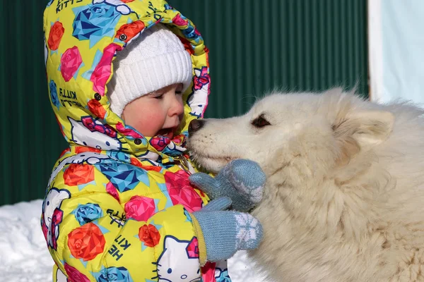 Bir köpek dış yapraklar ve bir çocuk