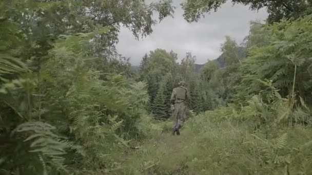 Soldado Patrulhando Floresta Tiro Largo — Vídeo de Stock