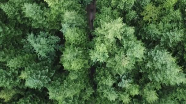 Soldado Patrulhando Drone Florestal Tiro — Vídeo de Stock