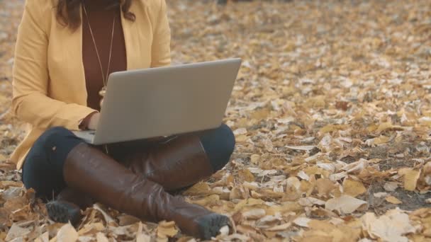 Kvinna Som Arbetar Laptop Stadsparken — Stockvideo