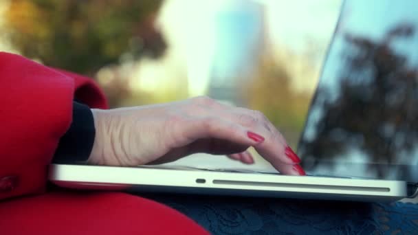 Menina Trabalhando Laptop Parque Dia Ensolarado Outono Parque — Vídeo de Stock