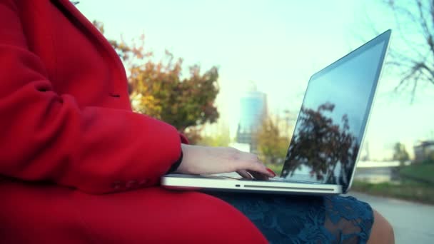 Девушка Работает Ноутбуке Парке Солнечный Осенний День Парке — стоковое видео