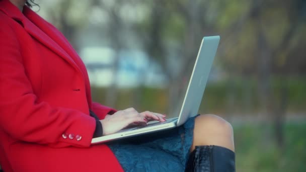 Menina Trabalhando Laptop Parque Dia Ensolarado Outono Parque — Vídeo de Stock