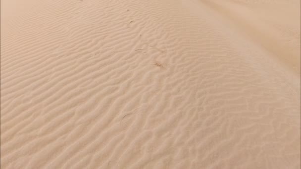 Areia Deserto Caminhe Pelo Deserto — Vídeo de Stock