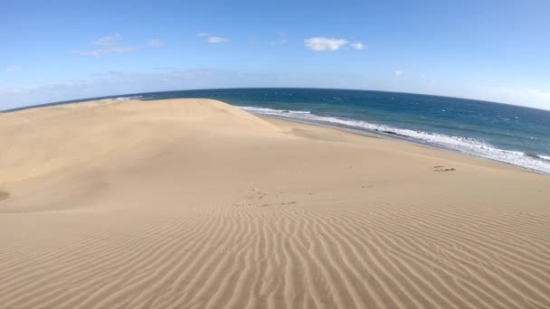 大加那利岛海洋边的风沙沙漠 马斯帕洛马斯 — 图库视频影像