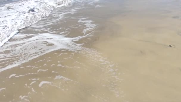 Oceano Spiaggia Sabbiosa Onde — Video Stock