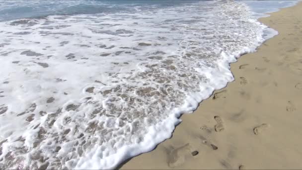 Oceano Praia Areia Ondas — Vídeo de Stock