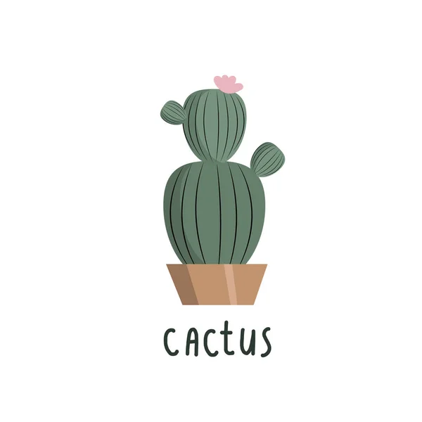 Kaktus Vektorritning Doodle Stil Vit Bakgrund Grön Kaktus Frihandsteckning Inskriptionen — Stock vektor