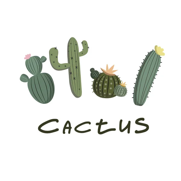 Set Green Cactus Vector Drawing Doodle Style White Background Cactus — Stock Vector