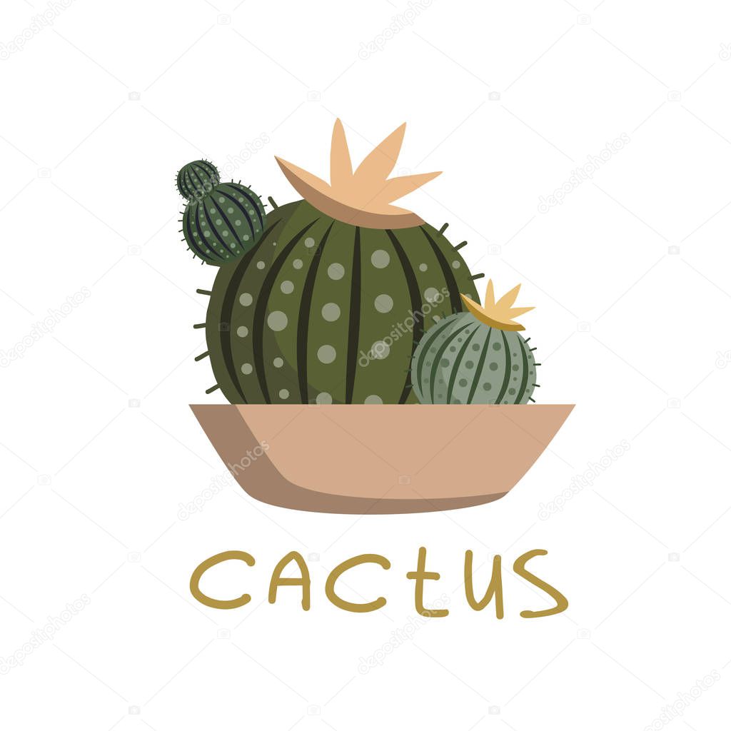 Round Green Cactus vector drawing in doodle style on white background. Cactus Freehand drawing. The inscription