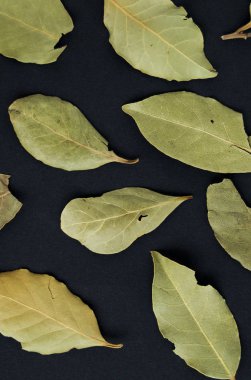 Kurutulmuş Defne siyah bir arka plan üzerinde bırakır. Üst Görünüm. Dikey fotoğraf