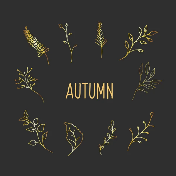 Gold botanische Gestaltungselemente. Zeichnungen von Pflanzen im Stil von Doodle. Herbstvektordekor — Stockvektor
