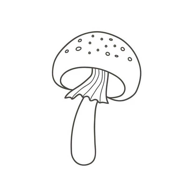 Desenho de cogumelos Amanita. Estilo doodle ilustração linear vetorial — Vetor de Stock